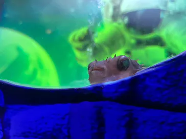 ひらかたパークに投稿された画像（2026/3/2）