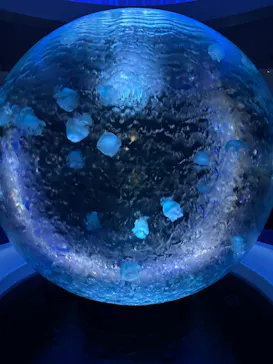 新江ノ島水族館に投稿された画像（2026/3/2）