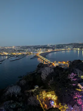 江の島シーキャンドル×新江ノ島水族館に投稿された画像（2026/3/2）