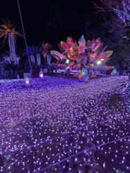 江の島シーキャンドル×新江ノ島水族館に投稿された画像（2026/3/2）