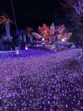 江の島シーキャンドル×新江ノ島水族館に投稿された画像（2026/3/2）