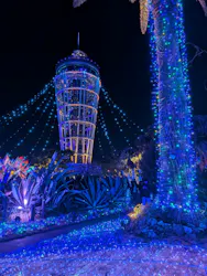 江の島シーキャンドル×新江ノ島水族館に投稿された画像（2026/3/2）