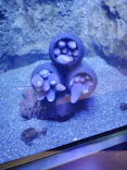 仙台うみの杜水族館に投稿された画像（2026/3/3）