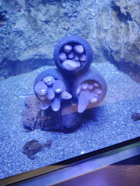 仙台うみの杜水族館に投稿された画像（2026/3/2）