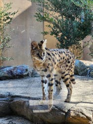 那須どうぶつ王国に投稿された画像（2026/3/2）