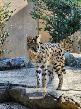 那須どうぶつ王国に投稿された画像（2026/3/2）