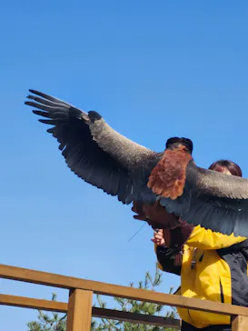 那須どうぶつ王国に投稿された画像（2026/3/2）