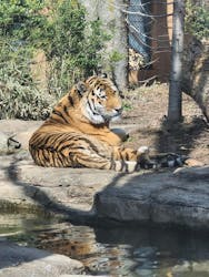 那須どうぶつ王国に投稿された画像（2026/3/2）