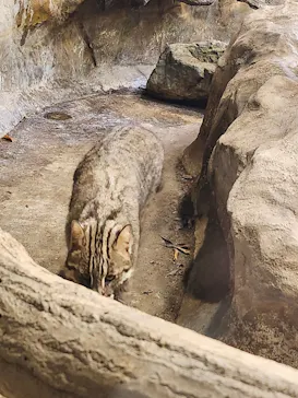那須どうぶつ王国に投稿された画像（2026/3/2）