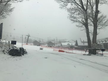 ピラタス蓼科スノーリゾートに投稿された画像（2026/3/3）