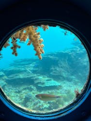 串本海中公園水族館に投稿された画像（2026/3/3）