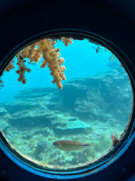 串本海中公園水族館に投稿された画像（2026/3/3）