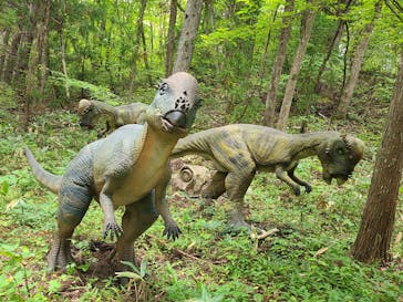 福井県立恐竜博物館に投稿された画像（2026/2/24）