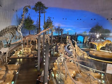 福井県立恐竜博物館に投稿された画像（2026/2/24）