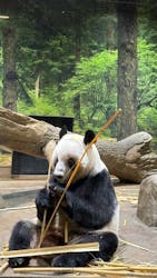 恩賜上野動物園に投稿された画像（2026/3/3）