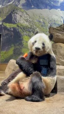 恩賜上野動物園に投稿された画像（2026/3/3）