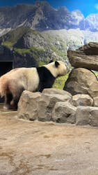 恩賜上野動物園に投稿された画像（2026/3/3）