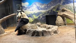 恩賜上野動物園に投稿された画像（2026/3/3）