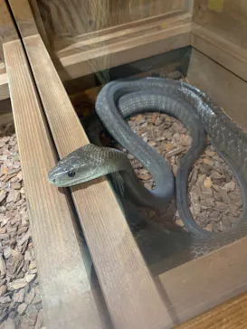 体感型動物園iZooに投稿された画像（2026/3/3）