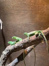 体感型動物園iZooに投稿された画像（2026/3/3）