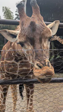 ANIMAL WONDER REZOURT 市原ぞうの国・サユリワールドに投稿された画像（2026/3/3）