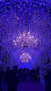 江の島シーキャンドルに投稿された画像（2026/3/3）