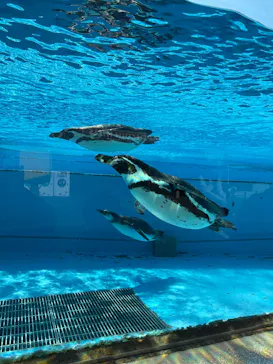 こども動物自然公園（埼玉県公園緑地協会）に投稿された画像（2026/3/3）