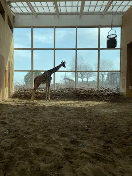 こども動物自然公園（埼玉県公園緑地協会）に投稿された画像（2026/3/3）