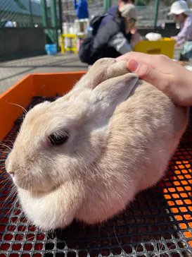 こども動物自然公園（埼玉県公園緑地協会）に投稿された画像（2026/3/3）