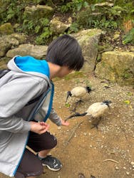 ネオパークオキナワに投稿された画像（2026/3/3）