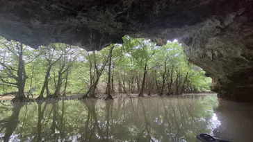 ひかりオーシャンズに投稿された画像（2026/3/3）