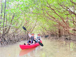 ひかりオーシャンズに投稿された画像（2026/3/3）