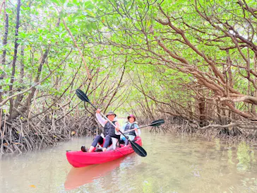 ひかりオーシャンズに投稿された画像（2026/3/3）