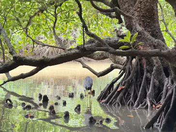 ひかりオーシャンズに投稿された画像（2026/3/3）