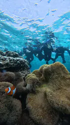 宮古島 ADVENTURE PiPi（ミヤコジマ アドベンチャー ピピ）に投稿された画像（2026/3/3）