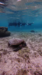 宮古島 ADVENTURE PiPi（ミヤコジマ アドベンチャー ピピ）に投稿された画像（2026/3/3）