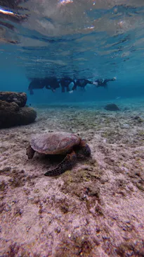 宮古島 ADVENTURE PiPi（ミヤコジマ アドベンチャー ピピ）に投稿された画像（2026/3/3）