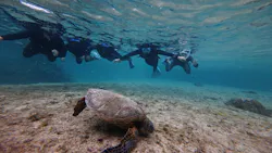 宮古島 ADVENTURE PiPi（ミヤコジマ アドベンチャー ピピ）に投稿された画像（2026/3/3）