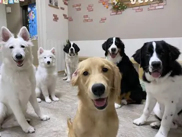 いぬカフェRio 新宿店に投稿された画像（2026/3/3）