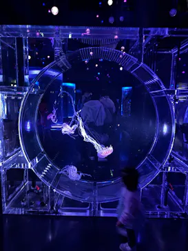 マクセル アクアパーク品川に投稿された画像（2026/3/3）