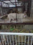 宇都宮動物園に投稿された画像（2026/3/3）
