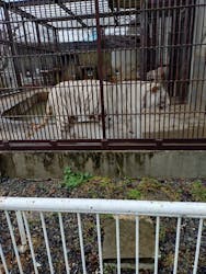 宇都宮動物園に投稿された画像（2026/3/3）