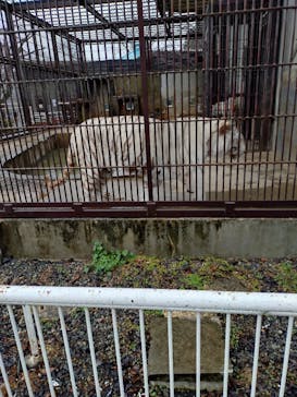 宇都宮動物園に投稿された画像（2026/3/3）