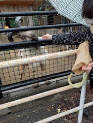 宇都宮動物園に投稿された画像（2026/3/3）