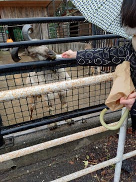 宇都宮動物園に投稿された画像（2026/3/3）