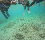 武藤潜水に投稿された画像（2026/3/3）