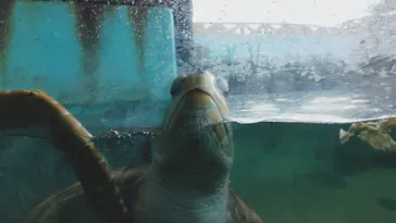 横浜・八景島シーパラダイスに投稿された画像（2026/3/3）