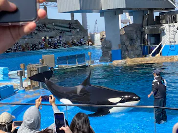 名古屋港水族館に投稿された画像（2026/3/3）