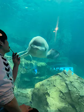 名古屋港水族館に投稿された画像（2026/3/3）