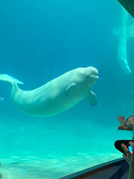 名古屋港水族館に投稿された画像（2026/3/3）